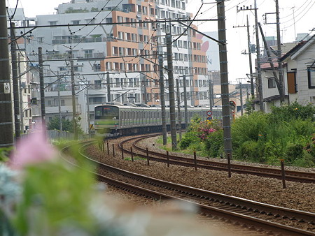 205系横浜線(成瀬沿線)