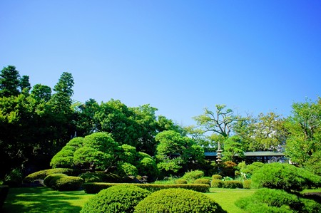柴又帝釈天 邃渓園 庭園編
