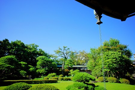 柴又帝釈天 邃渓園 庭園編