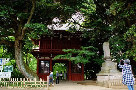 本土寺 仁王門