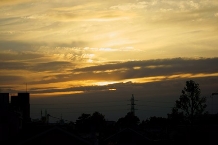 １１月１２日もＤ富士ならず