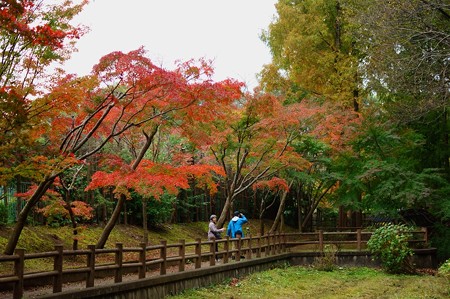 大町自然観察園