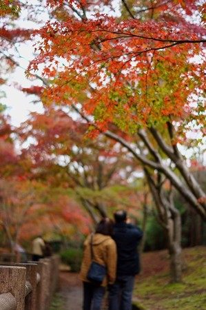 大町自然観察園