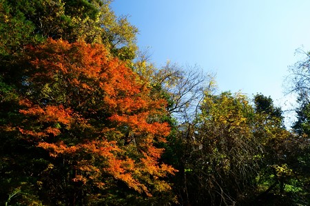大町自然観察園