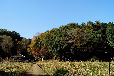 大町自然観察園