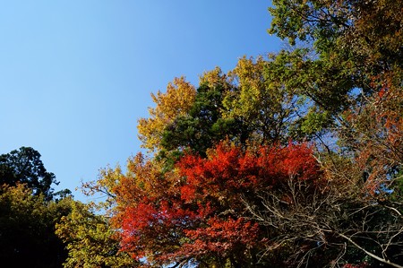 大町自然観察園