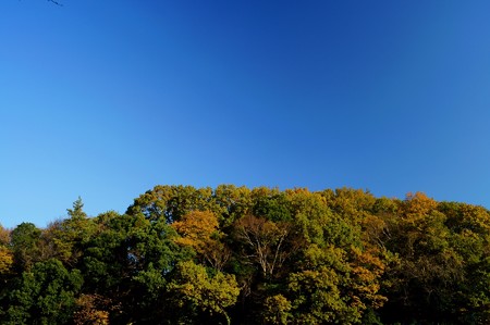 大町自然観察園
