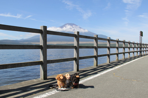 Photos: 富士山＆山中湖をバックに