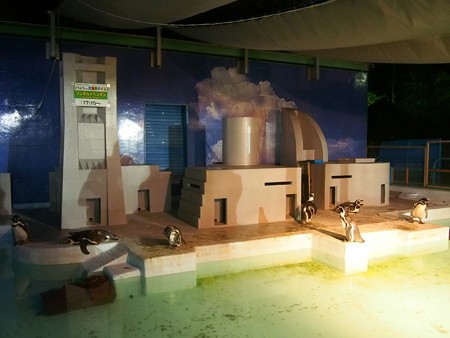 20140823 野毛山 夜のペンギンプール02