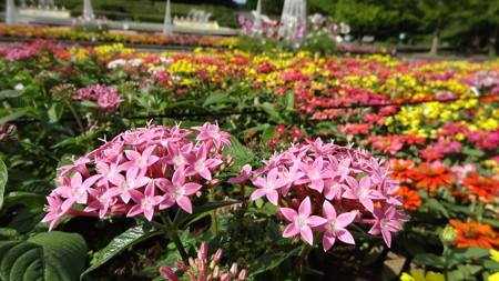 国営武蔵丘陵森林公園18