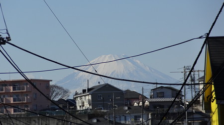 元旦の富士
