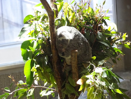 DSC01901