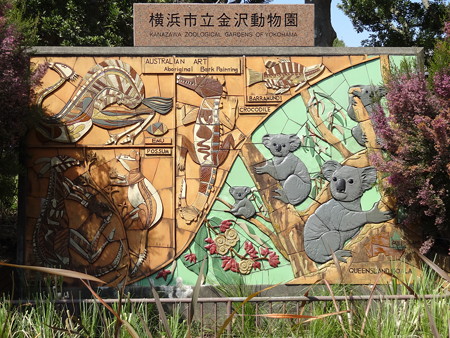 DSC01906