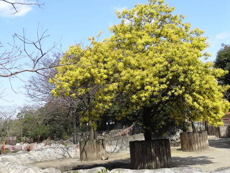 DSC01916
