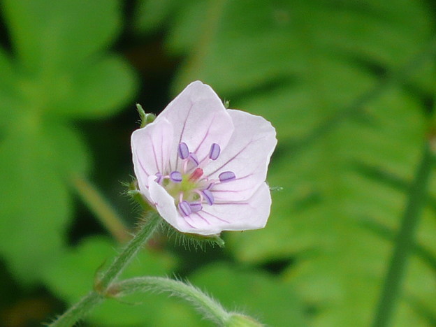 P1070175