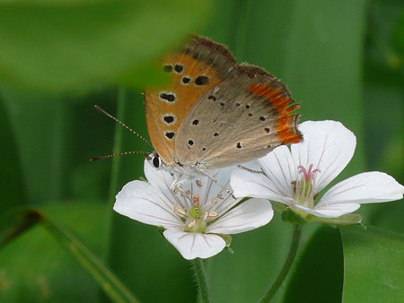 P1070206