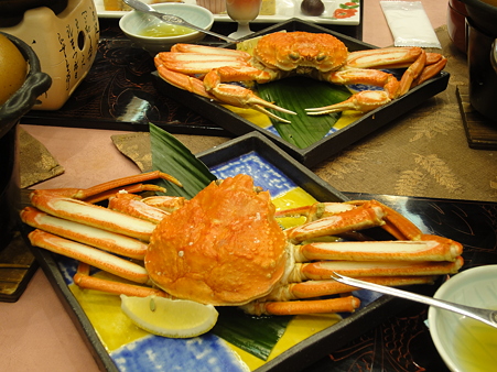 DSC01193.JPG