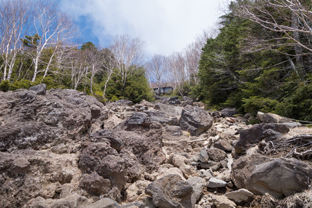 登山道2