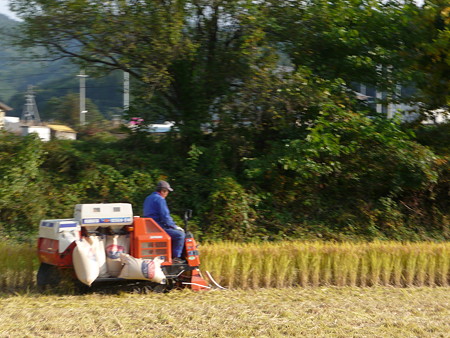 写真00805