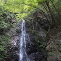 Photos: 檜原村 払沢の滝 4