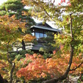 白河院・主屋 033