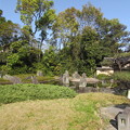松尾大社・蓬莱の庭 075