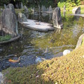 松尾大社・蓬莱の庭 080