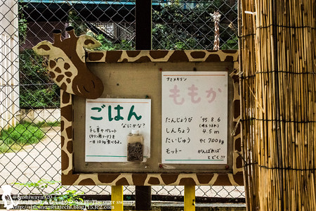 ikeda1408020021