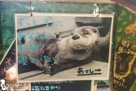 ikeda1408020096
