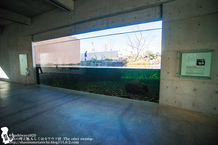 fukushima151205001