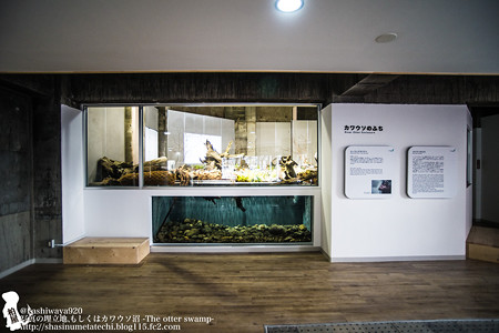 inawashiro151219003