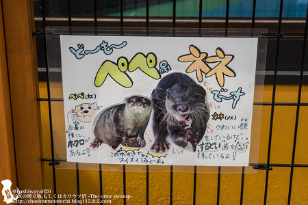 oouchiyama1507120005
