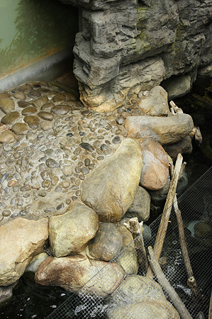 aquatotto110211243