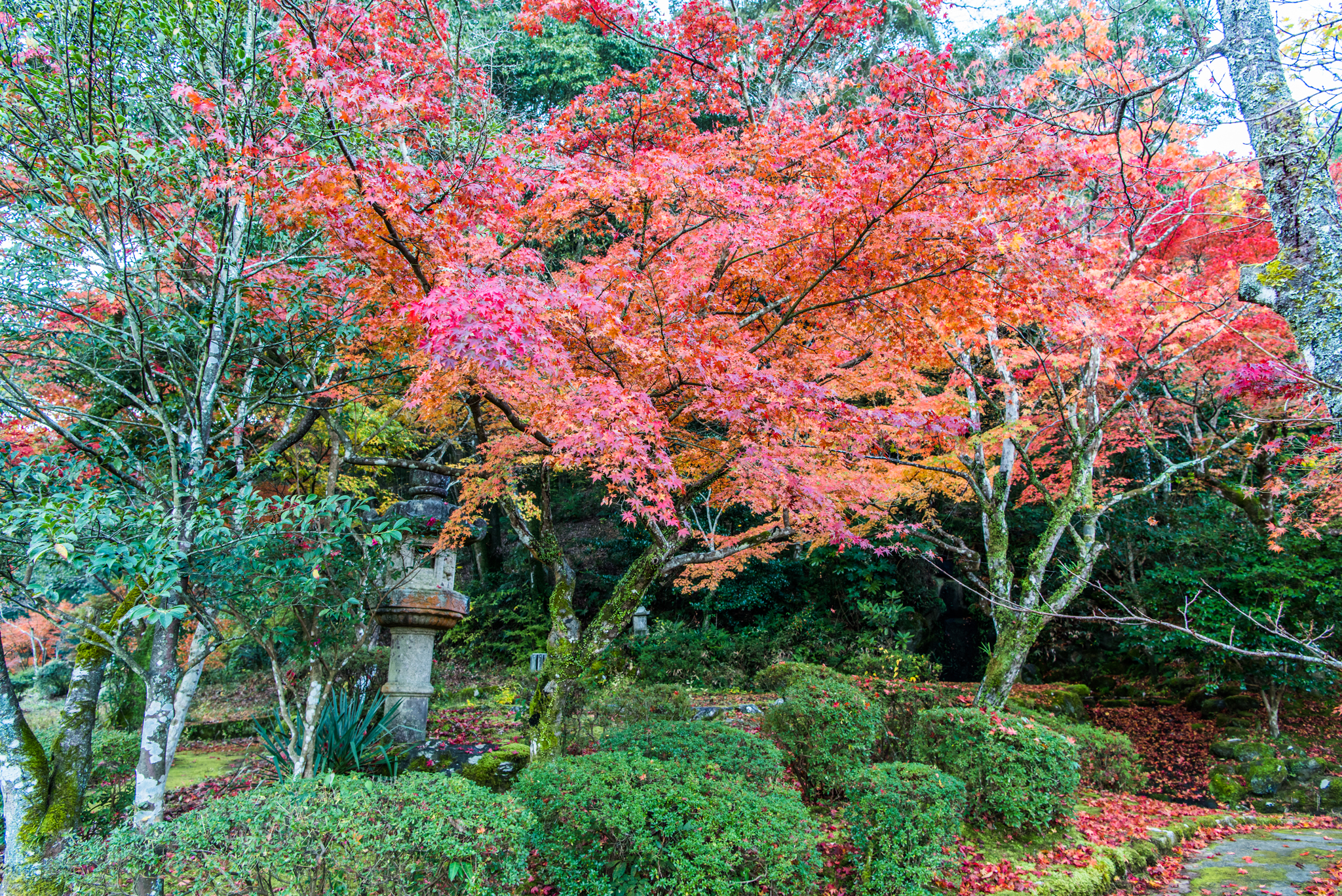 西渓公園-2