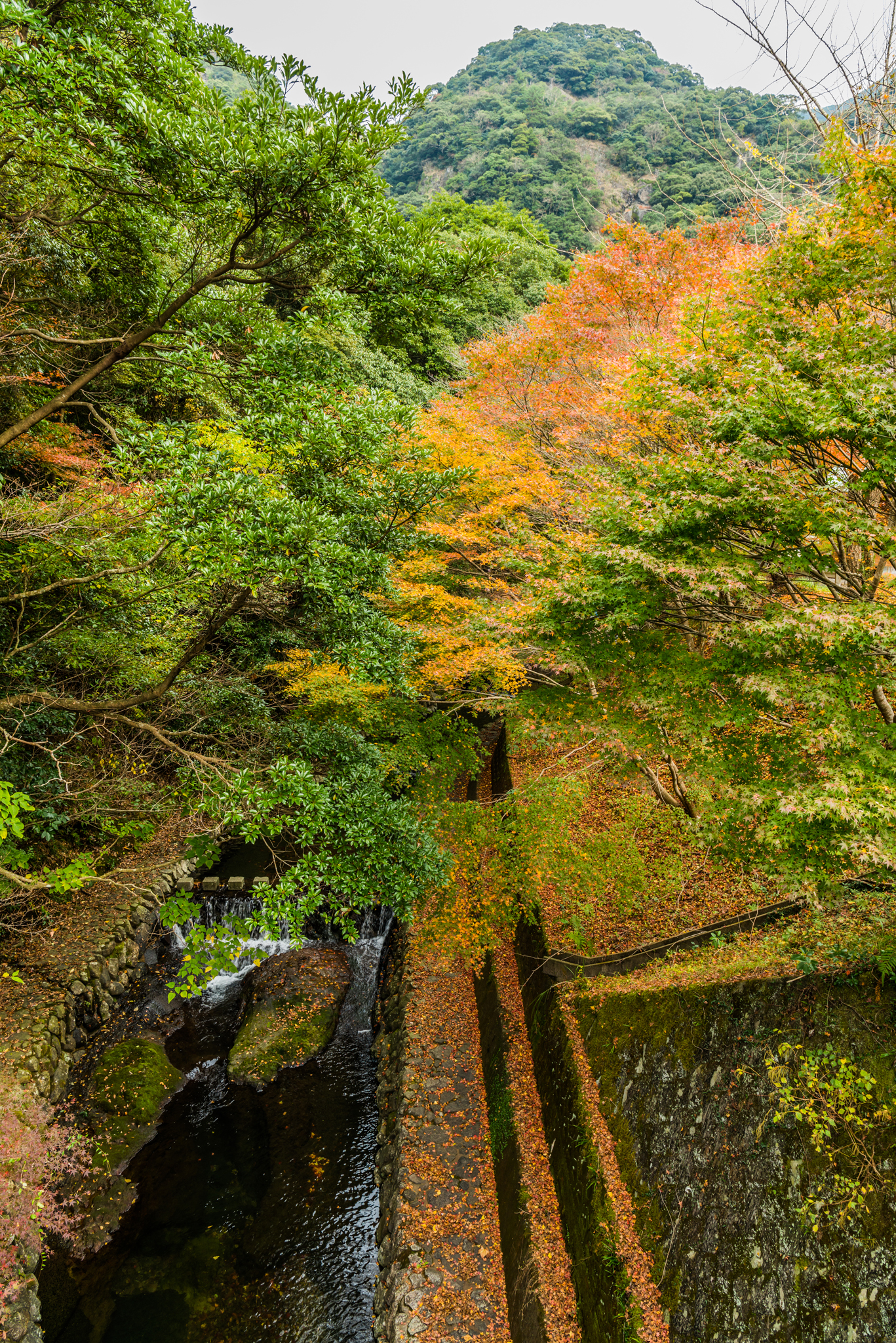 竜門峡入口