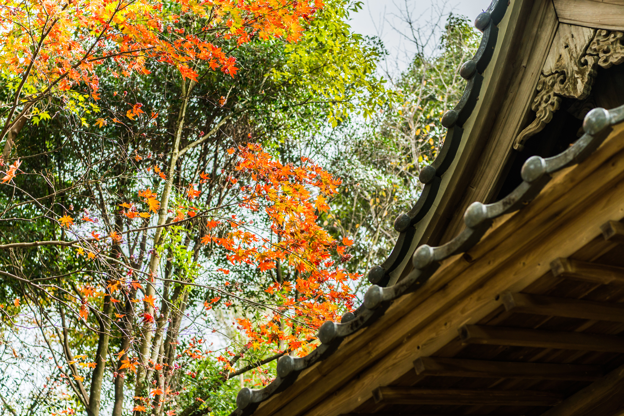 石場神社の紅葉