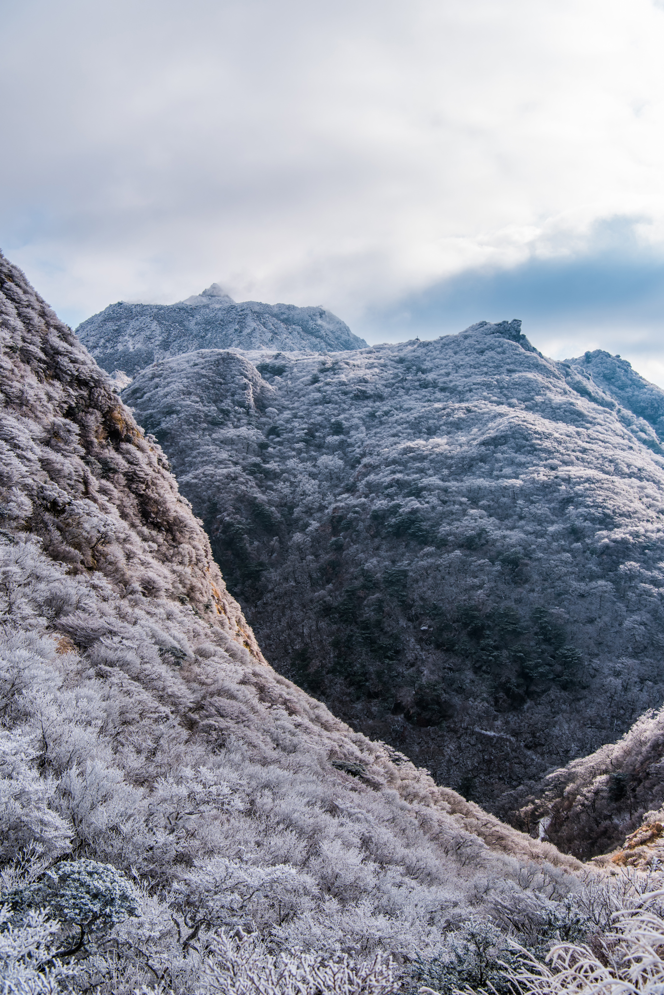 国見岳登り口から