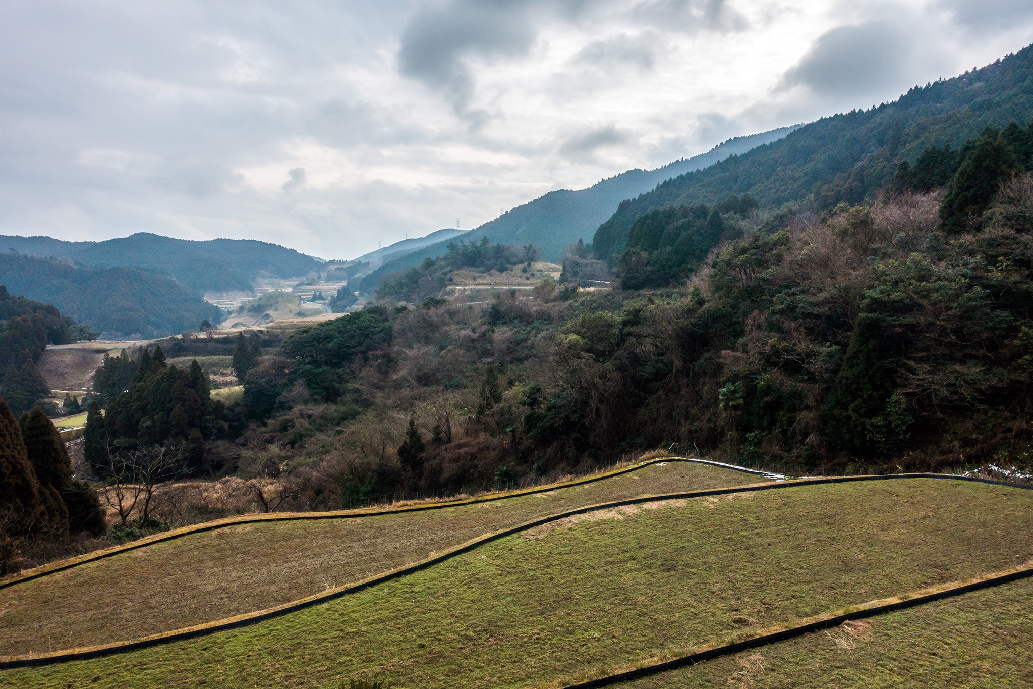 山間の棚田