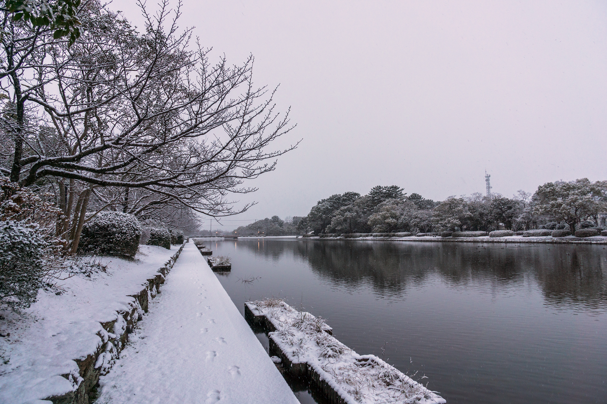 雪の佐賀城堀端-1