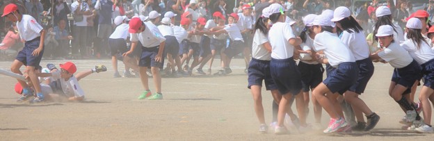 今日は楽しい運動会？・・４