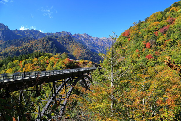 北アルプス大橋 １ 写真共有サイト フォト蔵