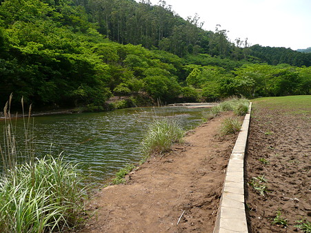 松川湖の南端