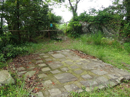 淡島神社裏