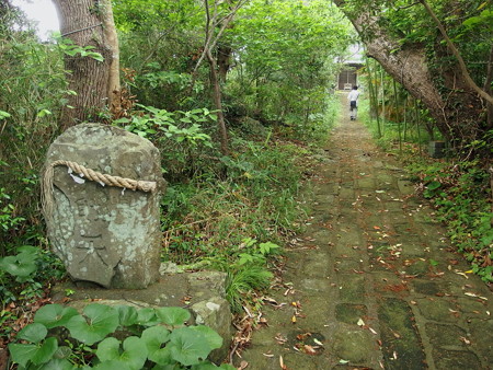 淡島神社の参道