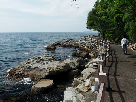 淡島海岸遊歩道