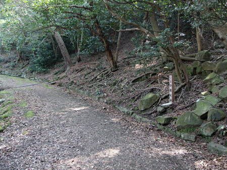 虎島へ向かう途中にある白龍大伸