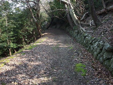 第4砲台跡へ続く上り坂