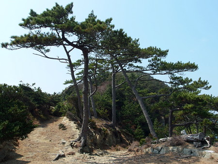 虎島へ続く道