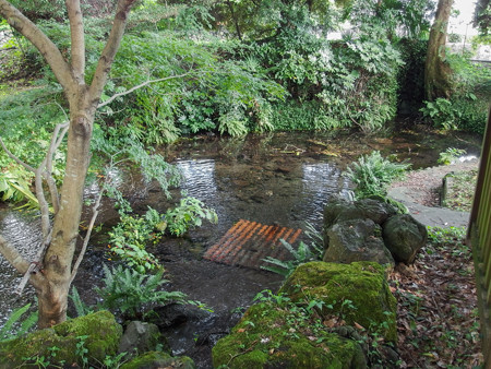 かがみ石公園の池