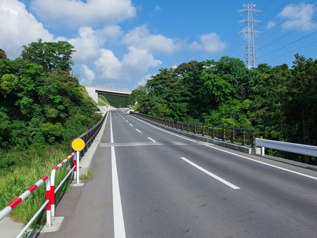 新花川戸大橋